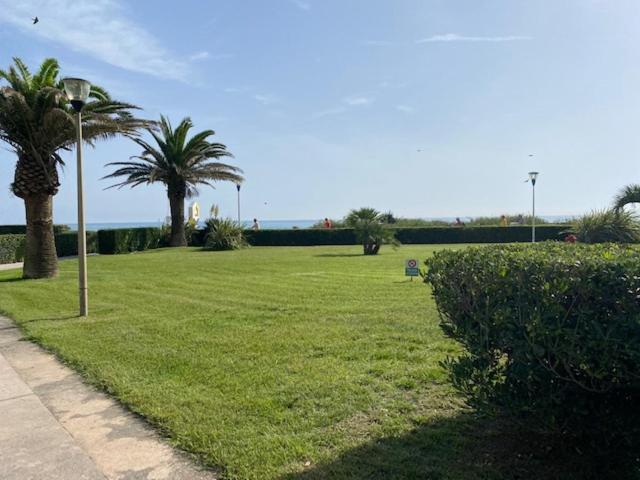 Appartamento Les Pieds Dans L'Eau Canet-en-Roussillon Esterno foto